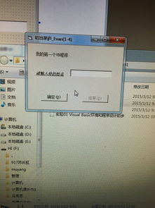 計(jì)算機(jī)編程與Visual Basic 入門(mén)與展望
